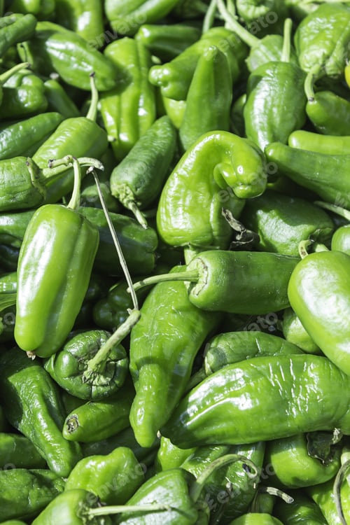 Preview: Mature Green Peppers Feed Market, Trade And Food