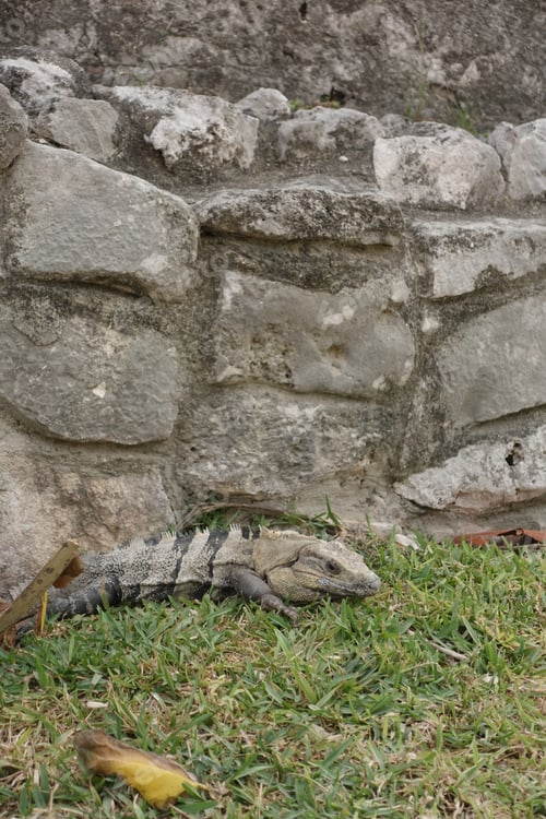 Preview: Tulum Ruins, Quintana Roo, Mexico