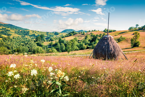Preview: Colorful Morning Scene Of Rogojel Village. Splendid Summer Landscape Of Cluj County, Romania