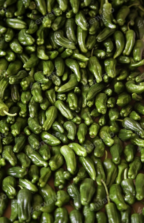 Preview: Green Peppers In Greengrocer, Healthy Food, Vegan