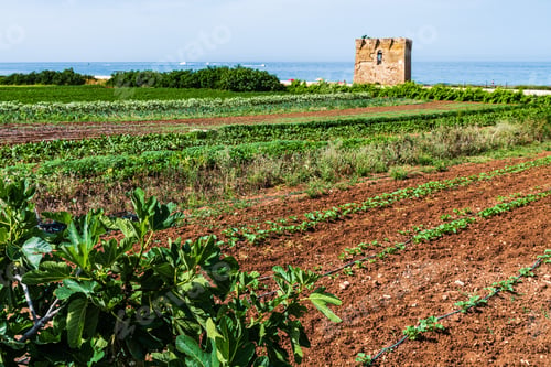 Preview: Monastery And Boats Frame The Bay Of San Vito.
