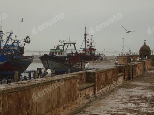 Preview: Essaouira, Morocco