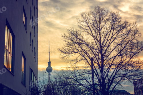 Preview: Tv Tower At Berlin In Dusk With Autumn Tree On The Right