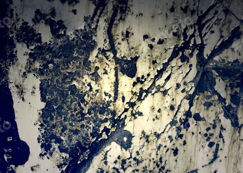 Preview: Rusty Orange Metal Doors Metal Texture