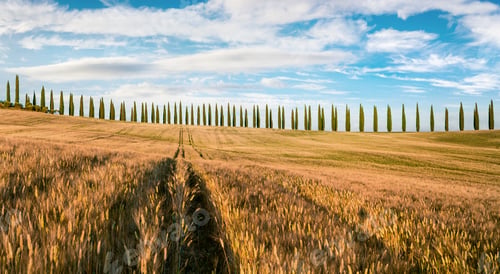 Preview: Classic Tuscan View With Cypress Trees. Colorful Summer View Of Italian Countryside. Beauty Of
