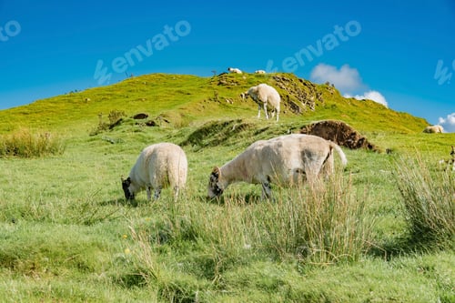 Preview: The Bizarre And Delightful Miniature Landscape Of Grassy, Cone-Shaped Hills, The Fairy Glen