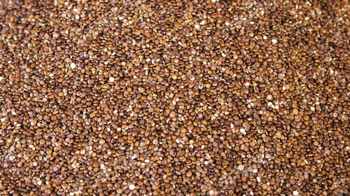 Preview: Red Quinoa Seeds In Herbal Medicine, Food And Vitamins