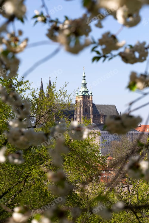 Preview: Spring Prague City With Gothic Castle And The Green Nature And Flowering Trees From The Hill