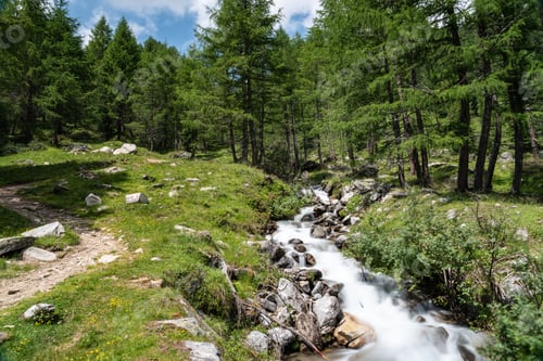 Preview: Lake Neves And Nature