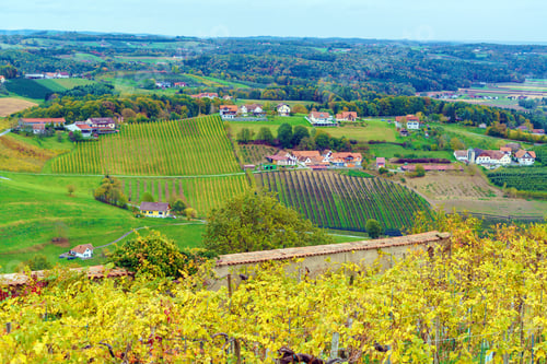 Preview: Vineyards Surrounding Medieval Castle Riegersburg, Styria, Austria