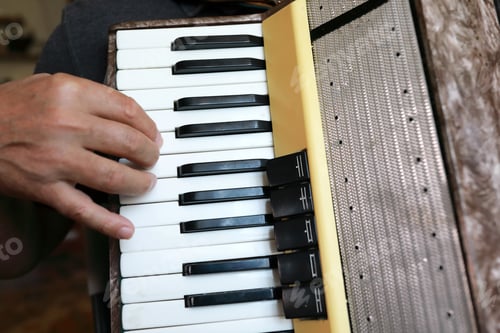 Preview: Person Is Playing The Accordion At Home