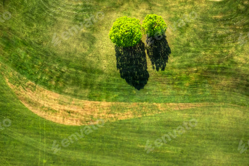 Preview: Top View With The Use Of A Drone Of A Golf Course