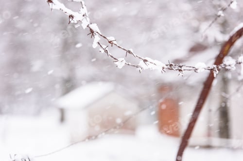 Preview: Abandoned Military Powder Covered By A Snow Mantle