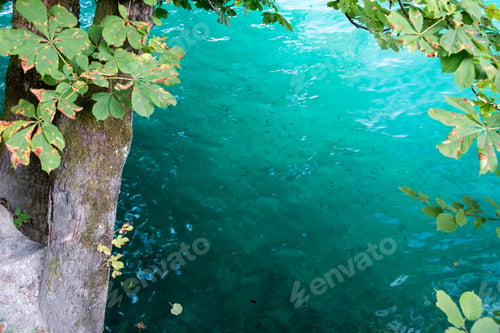 Preview: Golden Reflections On Bled Lake - Slovenia