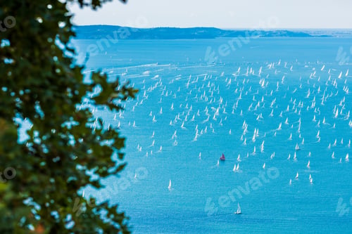 Preview: The Gulf Of Trieste And The Race Of The Barcolana. Italy