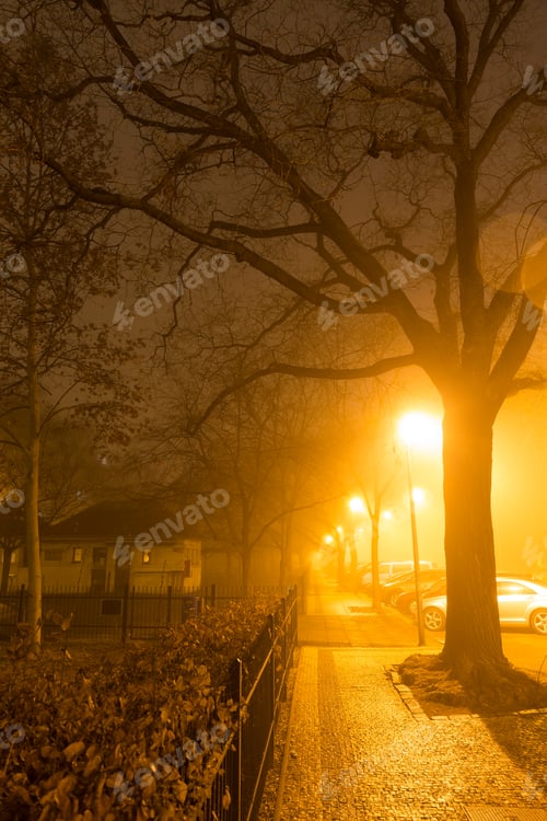 Preview: Thick Fog In The Night Holesovice About River Vltava. Holesovice Is The Most Cool Prague District