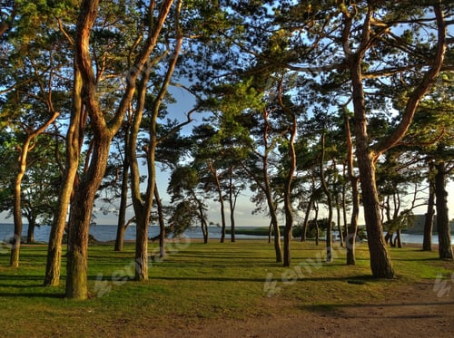 Preview: Kalmar, Sweden