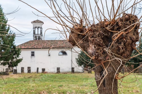 Preview: Castle Of Cassacco In Winter