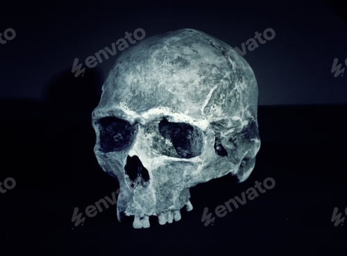 Preview: Human Skull Head In Laboratory, Experiment And Science