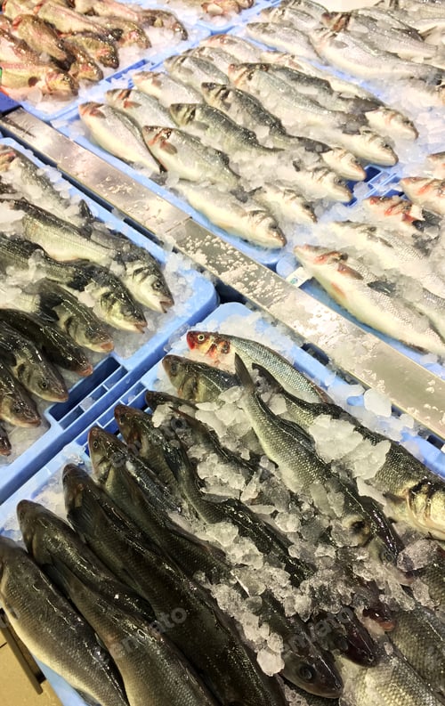 Preview: Fish In Fish Market Counter With Ice, Food