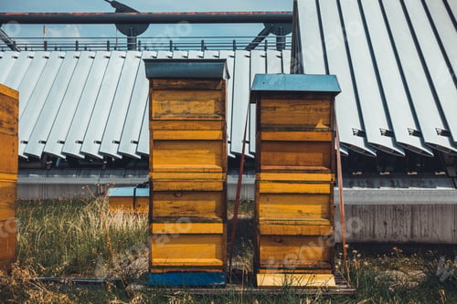 Preview: Typical Bee Hive At Rooftop Over Berlin