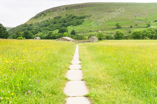 Preview: Muker Hay Meadows In June