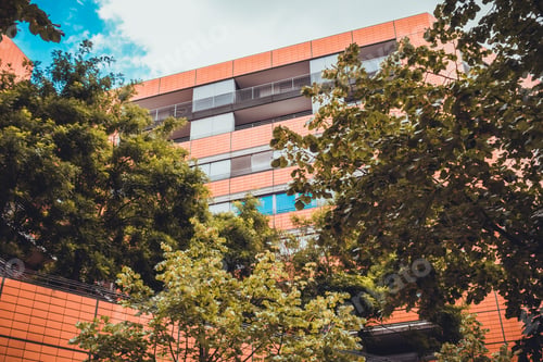 Preview: Green Trees And Modern Architecture