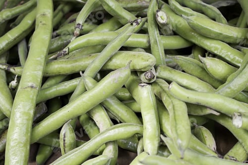 Preview: Green Beans With Bright Green Skin Food Market, Vegetables