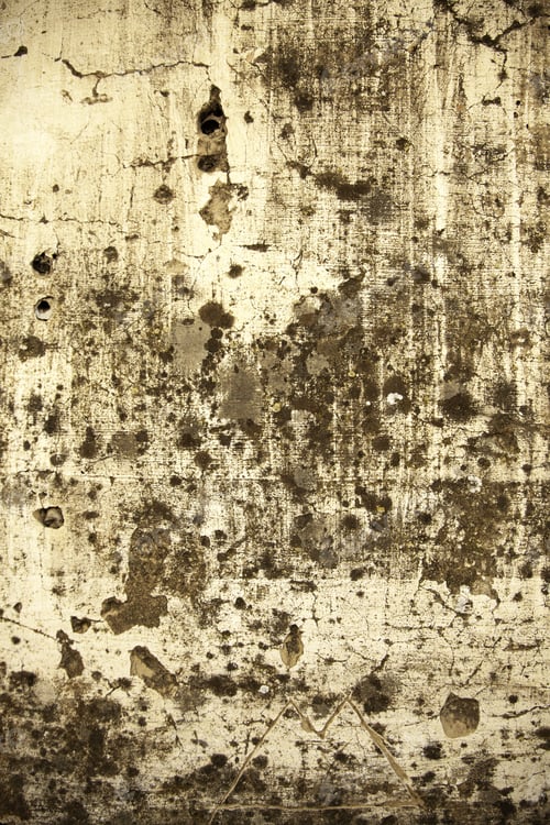 Preview: Peeling Painted Wall, Detail Of The Passage Of Time, Abandonment And Ruin