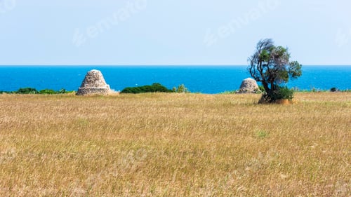 Preview: Along The Coast Of Bari. Contrasts Between The Fields And The Sea.