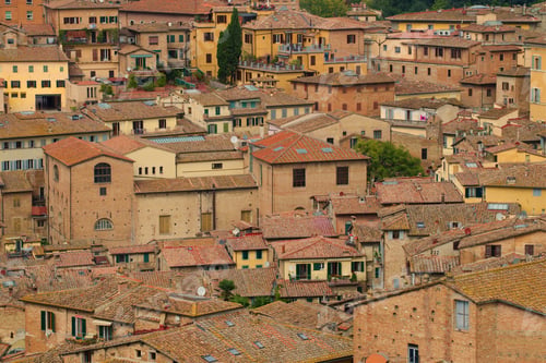 Preview: Above The Roofs Of The Old City. Siena, Italy
