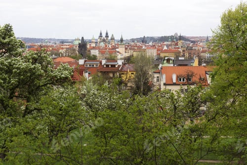 Preview: View On The Spring Prague City With The Green Nature And Flowering Trees, Czech Republic