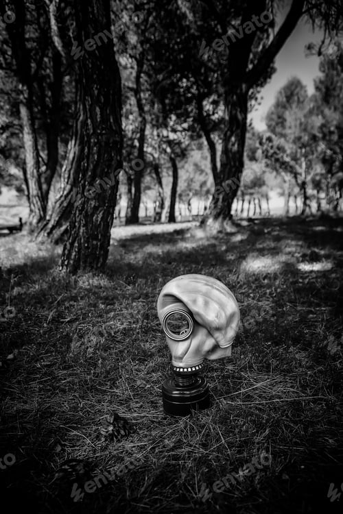 Preview: Gas Mask For Pandemic, Covid And Anthrax, Bacteriological Warfare