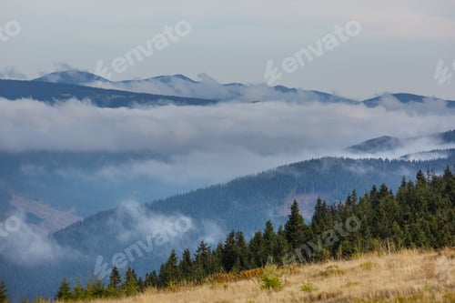 Preview: Beautiful Natural Landscapes In Carpathian Mountains