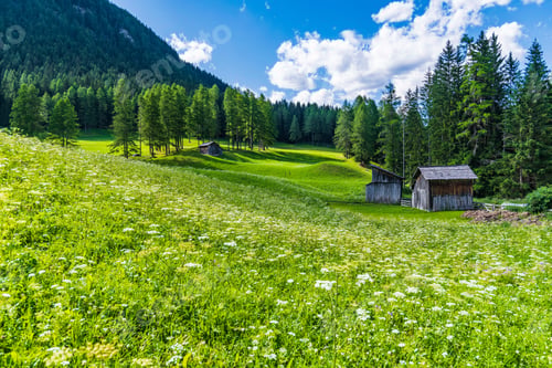 Preview: Typical Views Of The Dolomitic Valley Floor. The Val Fiscalina