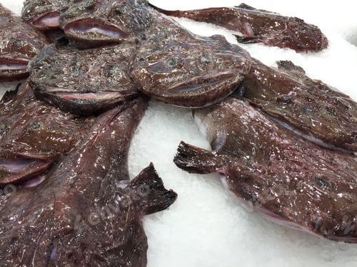 Preview: Fish In Fish Market Counter With Ice, Food