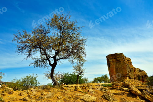 Preview: The Way Of The Arcosolia Valley Of The Temples Of Agrigento Sicily Italy