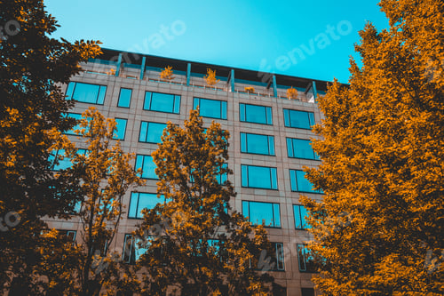 Preview: Modern Office Building With Big Orange Trees In The Foreground