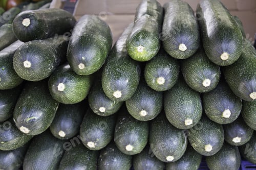 Vista previa: Ripe Cucumbers Store On Feeding Stand, Vegetable