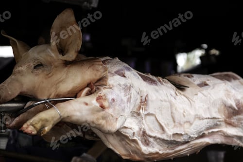 Preview: Pig Roasted In Embers, Celebration And Traditional Food