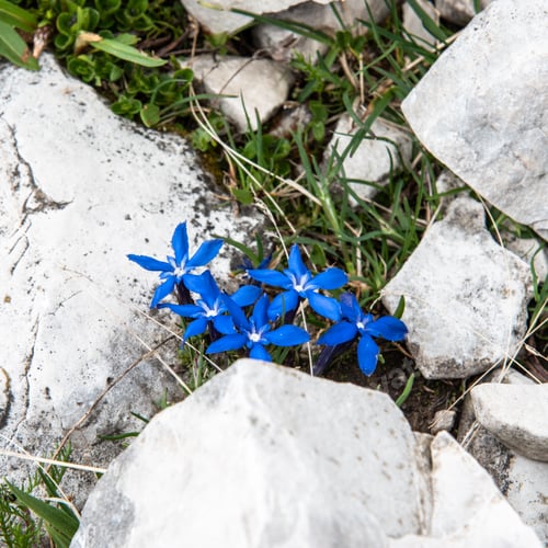 Preview: Dolomites And Three Peaks Of Lavaredo