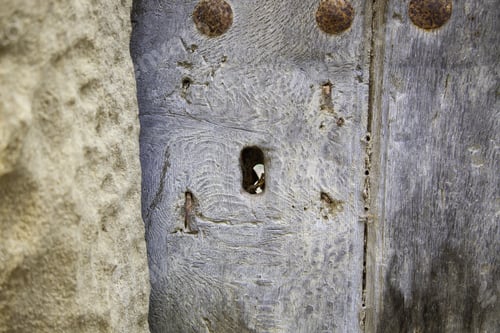 Preview: Old Wooden Door With Lock, Detail Of Abandonment And Ruin