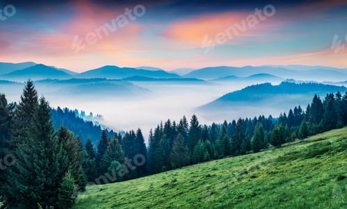 Preview: Fantastic Morning Scene Of Mountain Valley. Stunning Summer Sunrise In Carpathian Mountains, Rika
