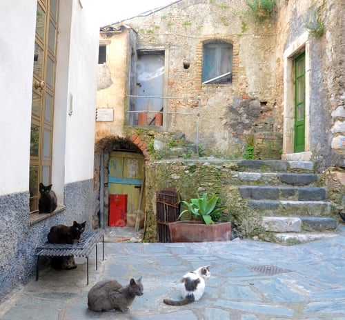 Preview: Motta Camastra Sicily Italy