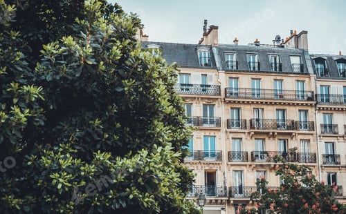 Preview: Large Tree Covering Part Of Apartment Building With Rows Of Tall Windows In Urban Setting