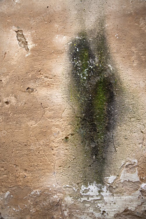 Preview: Textured Stone Wall, Decoration Detail, Facade