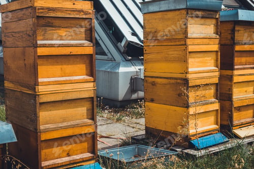Preview: Typical Bee Hive At Rooftop Over Berlin