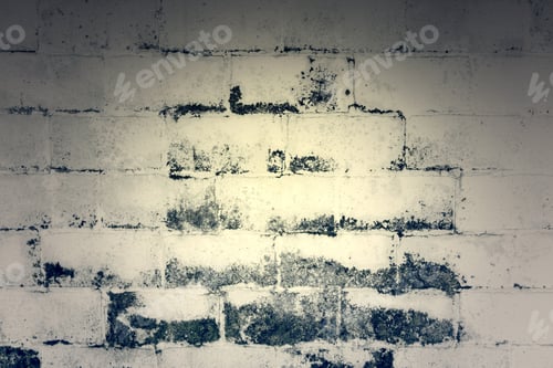 Preview: White Moldy Walls Bricks, Construction And Architecture