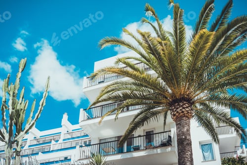 Preview: Low Angle View Of Palm Tree Near Luxury Resort Hotel Balcony Under Bright Blue Sky