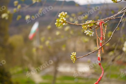 Preview: Martenitsa On A Tree, Bulgarian Springtime Tradition